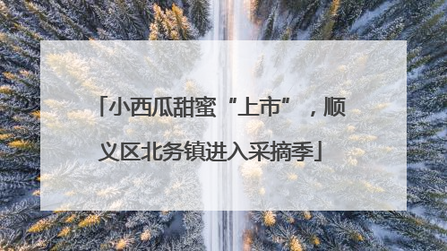 小西瓜甜蜜“上市”，顺义区北务镇进入采摘季