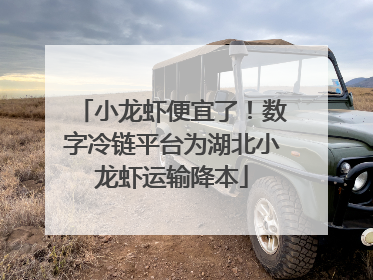 小龙虾便宜了！数字冷链平台为湖北小龙虾运输降本