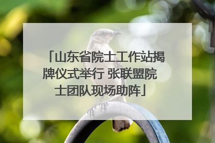 山东省院士工作站揭牌仪式举行 张联盟院士团队现场助阵