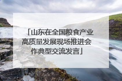 山东在全国粮食产业高质量发展现场推进会作典型交流发言