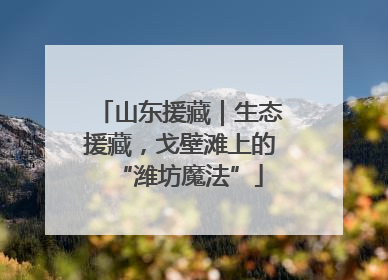 山东援藏｜生态援藏，戈壁滩上的“潍坊魔法”