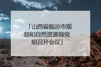 山西省临汾市规划和自然资源局党组召开会议