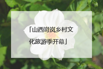 山西岢岚乡村文化旅游季开幕