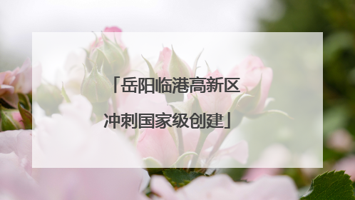 岳阳临港高新区冲刺国家级创建
