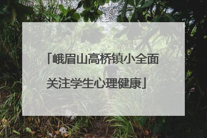 峨眉山高桥镇小全面关注学生心理健康