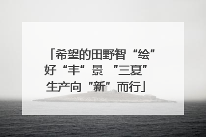 希望的田野智“绘”好“丰”景 “三夏”生产向“新”而行