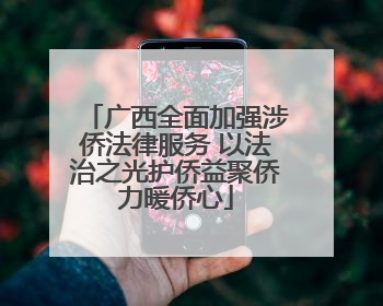 广西全面加强涉侨法律服务 以法治之光护侨益聚侨力暖侨心
