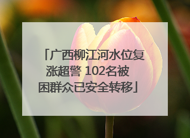 广西柳江河水位复涨超警 102名被困群众已安全转移