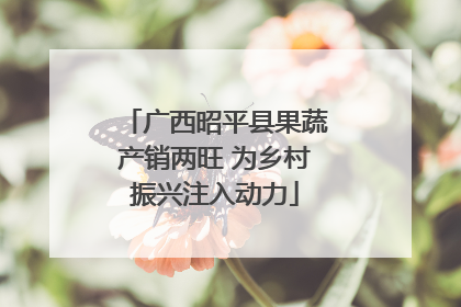 广西昭平县果蔬产销两旺 为乡村振兴注入动力