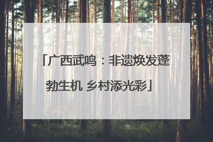 广西武鸣：非遗焕发蓬勃生机 乡村添光彩