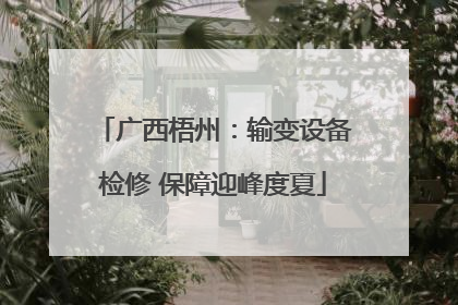 广西梧州：输变设备检修 保障迎峰度夏