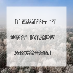 广西荔浦举行“军地联合”防汛抢险应急救援综合演练