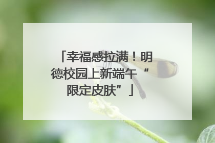 幸福感拉满！明德校园上新端午“限定皮肤”