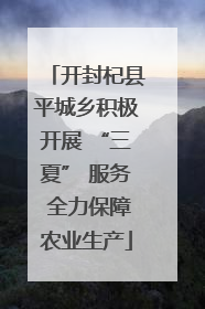 开封杞县平城乡积极开展 “三夏” 服务 全力保障农业生产