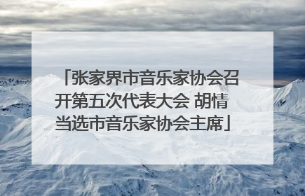 张家界市音乐家协会召开第五次代表大会 胡情当选市音乐家协会主席
