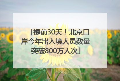 提前30天！北京口岸今年出入境人员数量突破800万人次