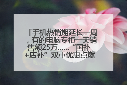手机热销期延长一周，有的电脑专柜一天销售额25万……“国补+店补”双重优惠点燃德州“考后经济”