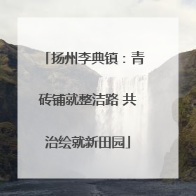 扬州李典镇：青砖铺就整洁路 共治绘就新田园