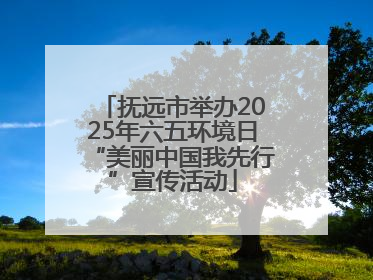 抚远市举办2025年六五环境日“美丽中国我先行”宣传活动