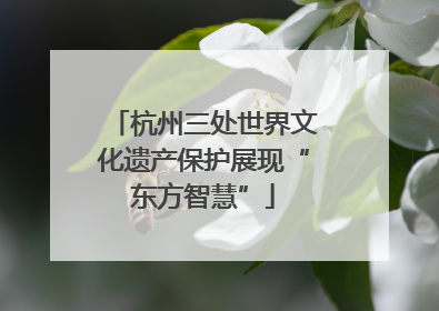 杭州三处世界文化遗产保护展现“东方智慧”
