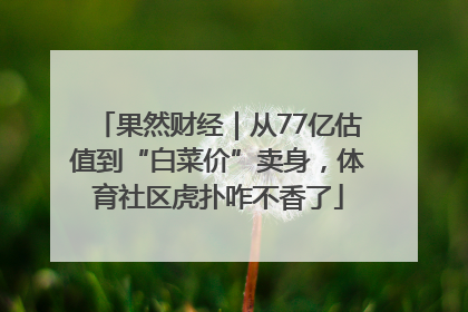 果然财经｜从77亿估值到“白菜价”卖身，体育社区虎扑咋不香了