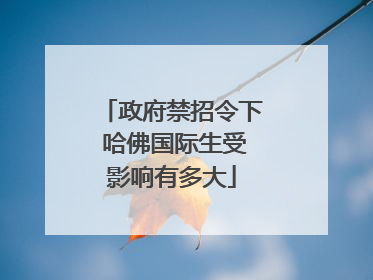 政府禁招令下 哈佛国际生受影响有多大