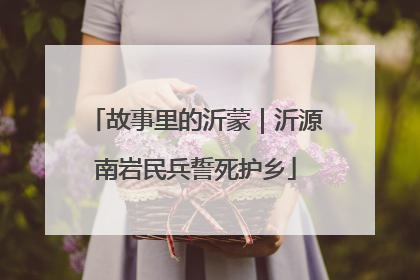 故事里的沂蒙｜沂源南岩民兵誓死护乡