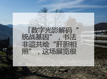 数字光影解码“统战基因”，书法非遗共绘“肝胆相照”，这场展览很有创意！