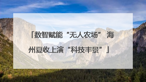 数智赋能“无人农场” 海州夏收上演“科技丰景”