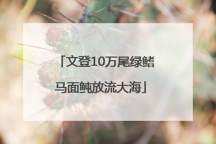文登10万尾绿鳍马面鲀放流大海