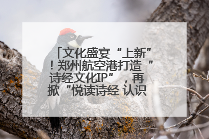 文化盛宴“上新”！郑州航空港打造“诗经文化IP”，再掀“悦读诗经 认识家乡路”活动热潮