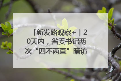新发路观察+｜20天内，省委书记两次“四不两直”暗访，有何深意？