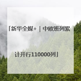新华全媒+｜中欧班列累计开行110000列