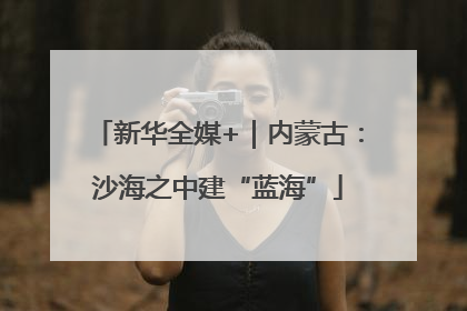 新华全媒+｜内蒙古：沙海之中建“蓝海”