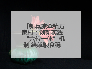 新晃凉伞镇万家村：创新实践“六位一体”机制 绘就粮食稳产增收新图景
