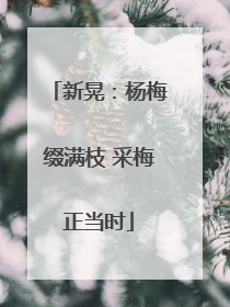 新晃：杨梅缀满枝 采梅正当时