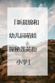 新晨锦和幼儿园萌娃探秘莲花街小学