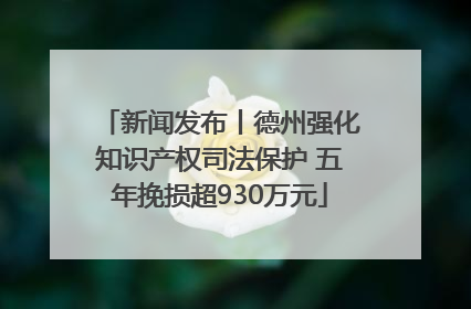 新闻发布丨德州强化知识产权司法保护 五年挽损超930万元
