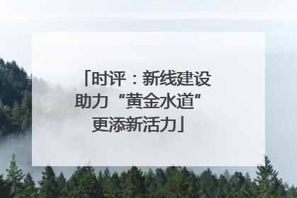 时评：新线建设助力“黄金水道”更添新活力