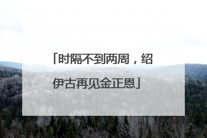 时隔不到两周，绍伊古再见金正恩