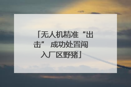 无人机精准“出击” 成功处置闯入厂区野猪