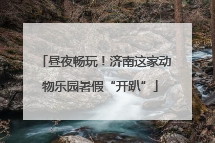 昼夜畅玩！济南这家动物乐园暑假“开趴”