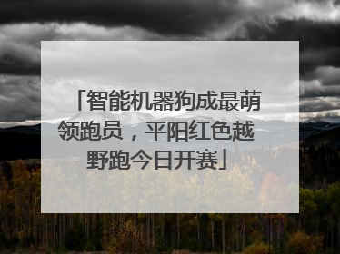 智能机器狗成最萌领跑员，平阳红色越野跑今日开赛
