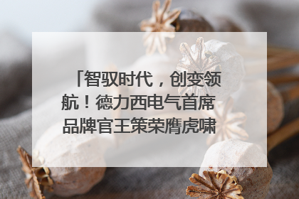 智驭时代，创变领航！德力西电气首席品牌官王策荣膺虎啸奖年度品牌人物