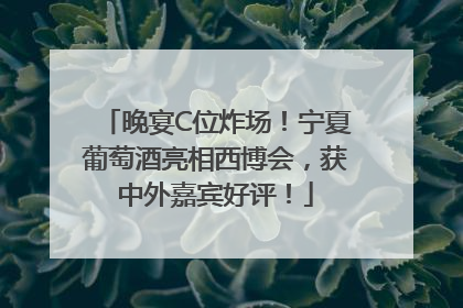 晚宴C位炸场！宁夏葡萄酒亮相西博会，获中外嘉宾好评！