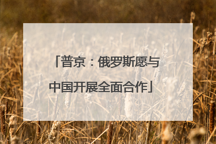 普京：俄罗斯愿与中国开展全面合作
