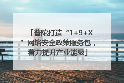 普陀打造“1+9+X”网络安全政策服务包，着力提升产业能级