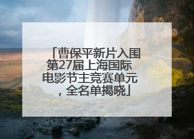 曹保平新片入围第27届上海国际电影节主竞赛单元，全名单揭晓