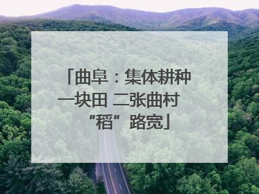 曲阜：集体耕种一块田 二张曲村“稻”路宽