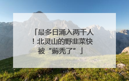 最多日涌入两千人！北灵山的野韭菜快被“薅秃了”